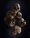 rodrigo-soria-skull01.jpg