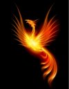 depositphotos_7437086-stock-illustration-burning-phoenix.jpg