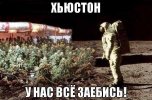 смешные-картинки-хьюстон-у-нас-проблемы-хьюстон-прикол-2208739.jpeg