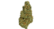 png-transparent-feminized-cannabis-hemp-conifer-cone-blue-dream-cannabis-herbaceous-plant-hemp...png