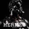 Hermes Delivery