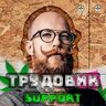 Trudovik_support