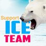 Ice Support
