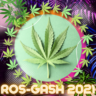 ROS-GASh 2021