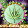 ROS-GASh Support