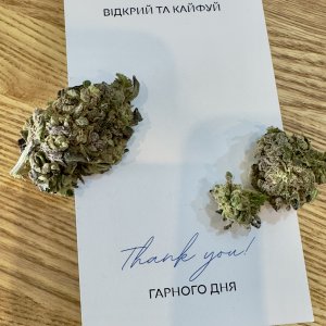 Фотографии каннабиса от наших радостных клиентов онлайн магазина bulkweed