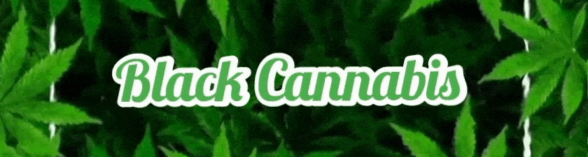 Black Cannabis Banner